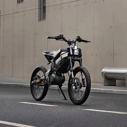 17” Urban Electric Bike 50km/h Smart E-Bike